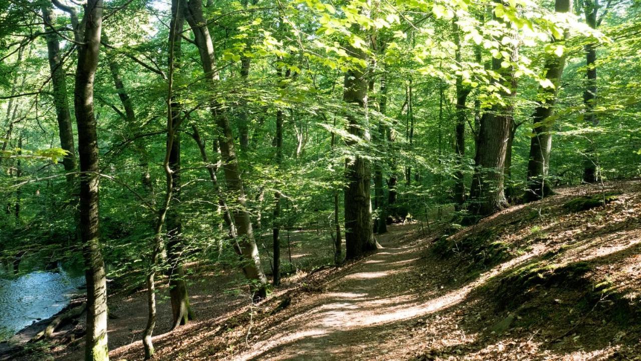 Itm Hotel Bettkaestchen Am Sachsenwald Райнбек Екстериор снимка